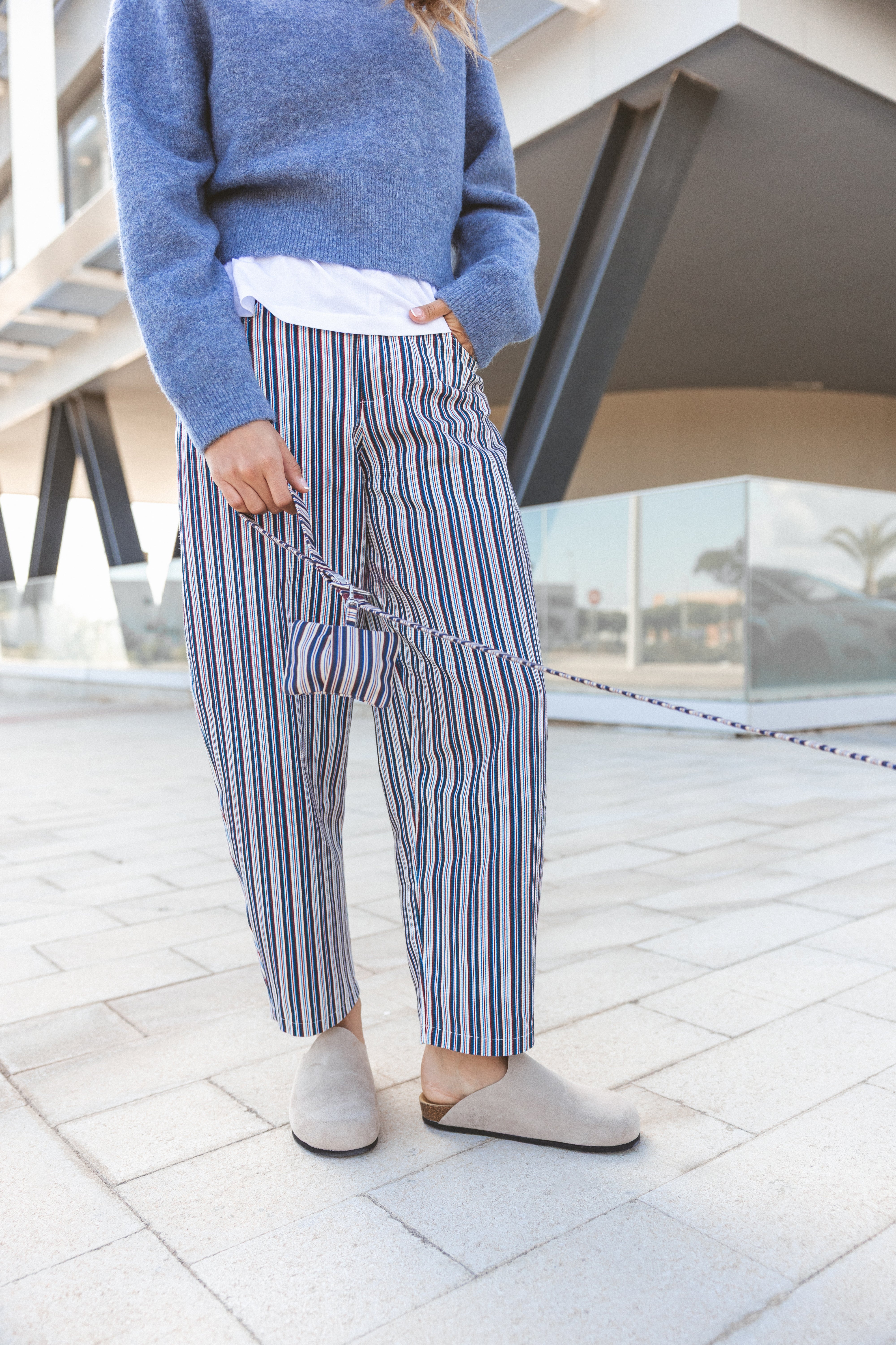 Striped Poop Bag Holder