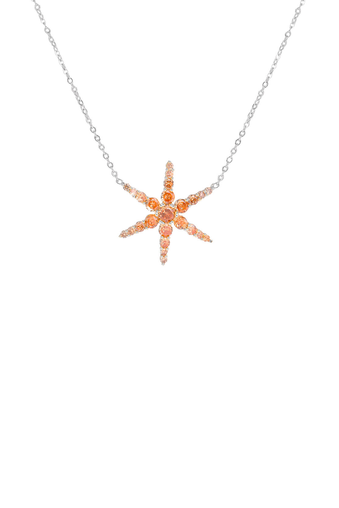 Brown Star Necklace