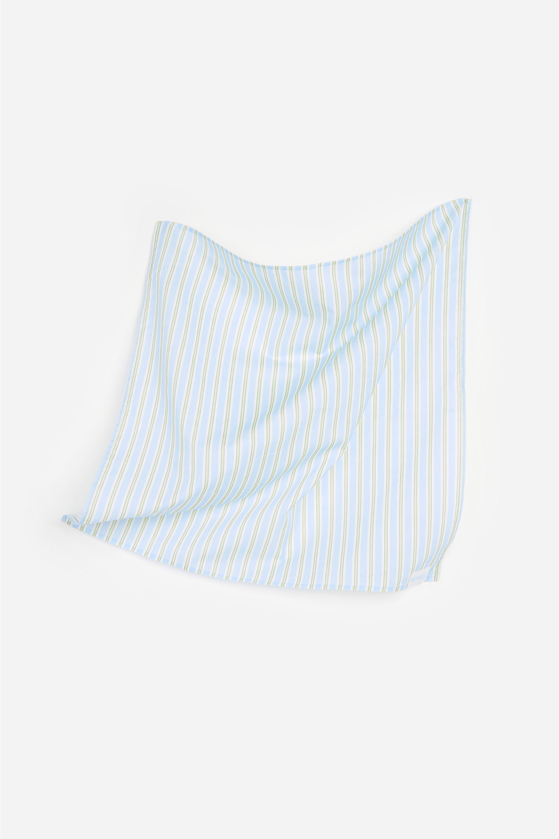 Blue Striped Bandana