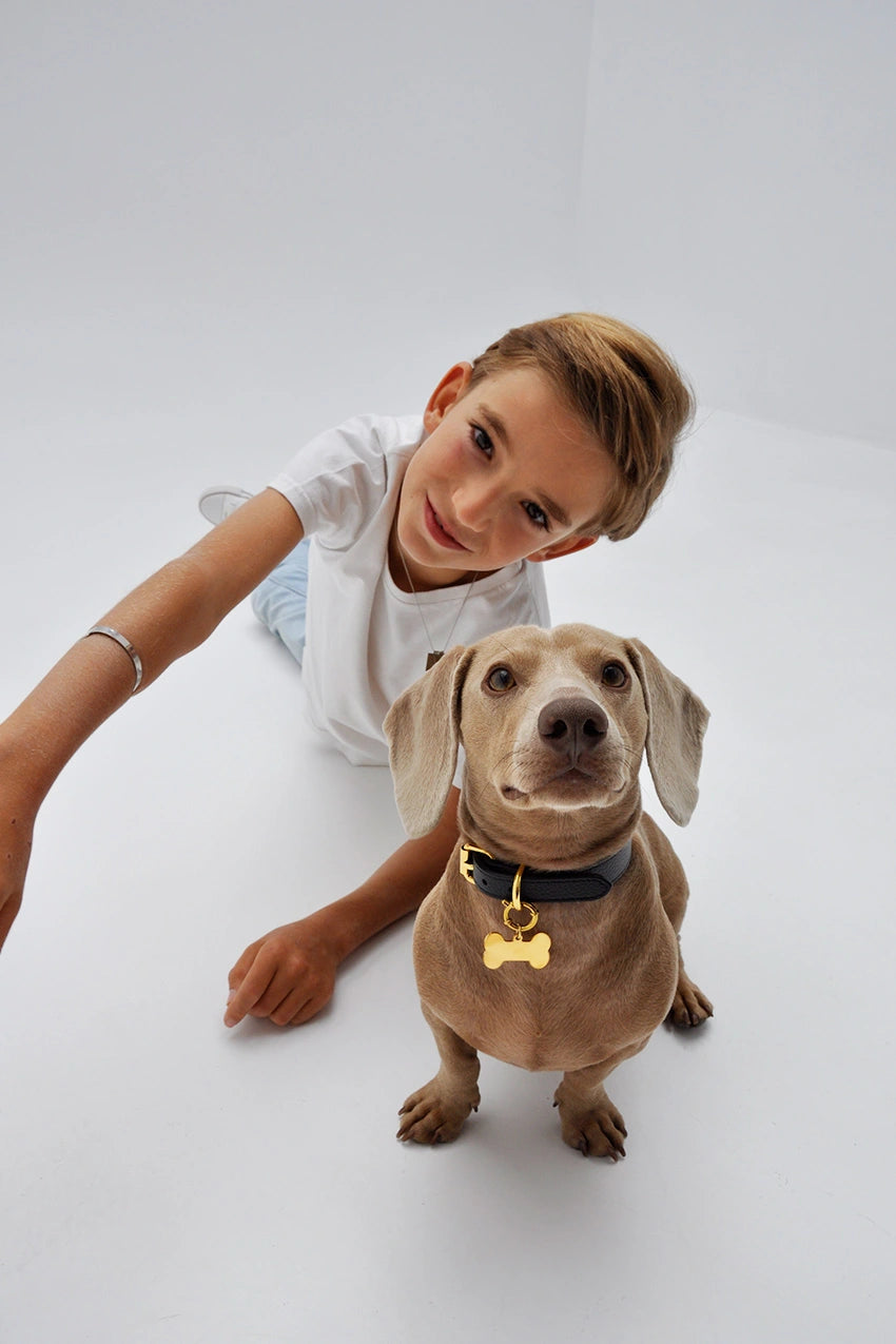 Distintivo personalizzato per cani 🐾