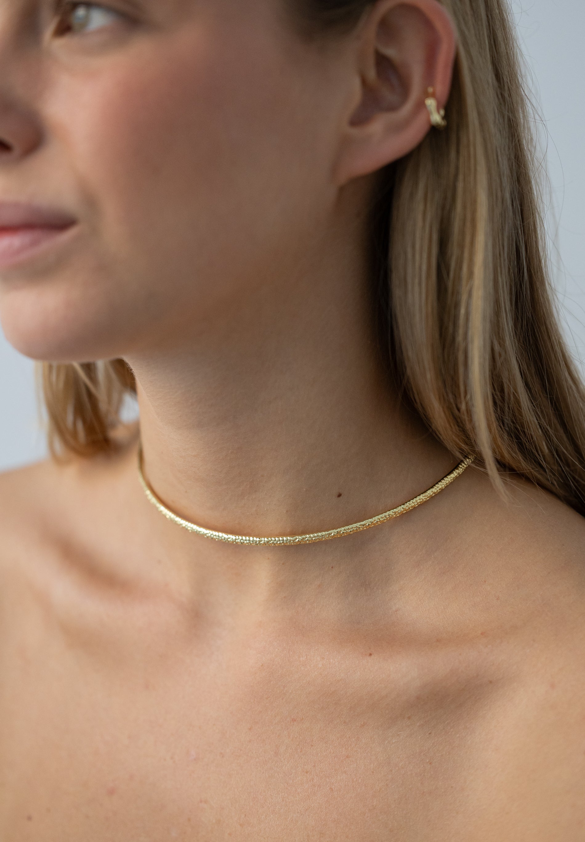 Bubbles Rigid Collar