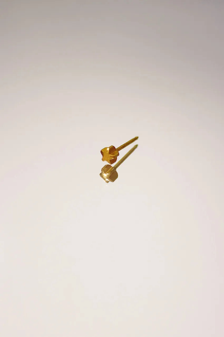 Piercing (piercing exclusively in physical shop)
