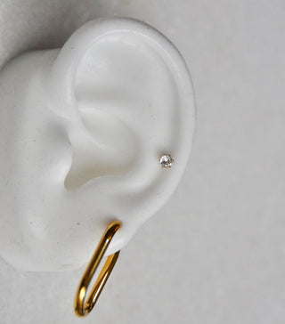 Mini Star Nut Earring
