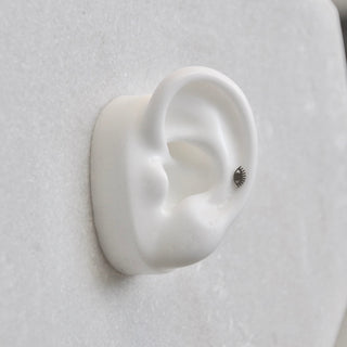 Mini Star Nut Earring